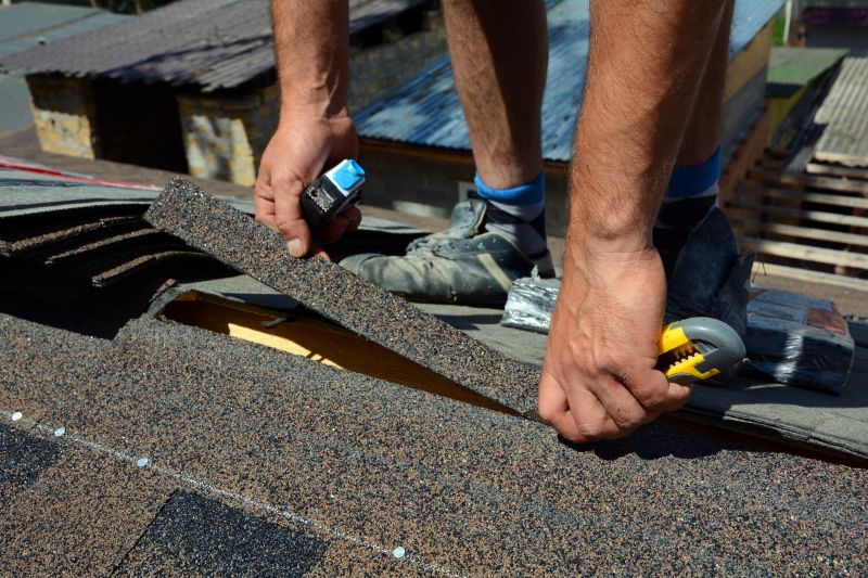 Skilled Roof Repair Technician